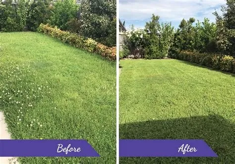 Custom garden landscaping for beautiful yards in Kershaw, SC by Stevensons Lawncare And Yard Work