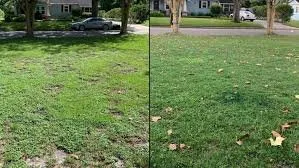 Affordable landscape installation experts serving Kershaw, SC - Stevensons Lawncare And Yard Work