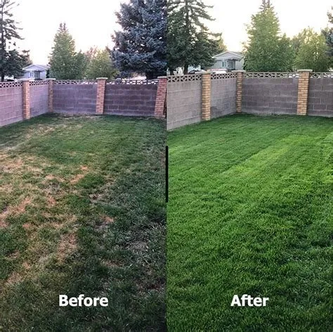 Reliable garden landscaping experts serving Kershaw, SC - Stevensons Lawncare And Yard Work