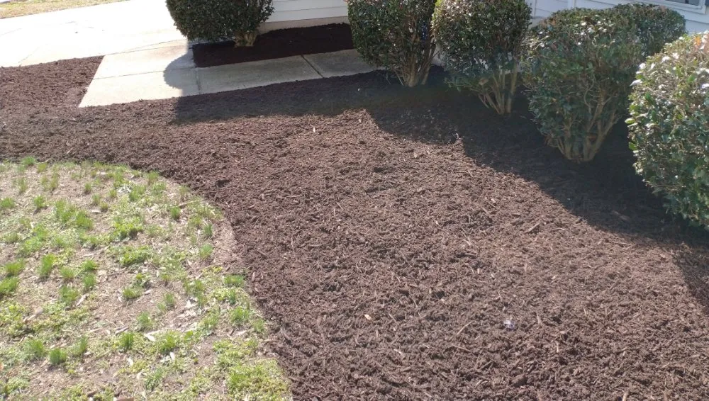 Custom outdoor landscaping for residential properties across Newport News, VA - Steve's Affordable Lawn and landscapes