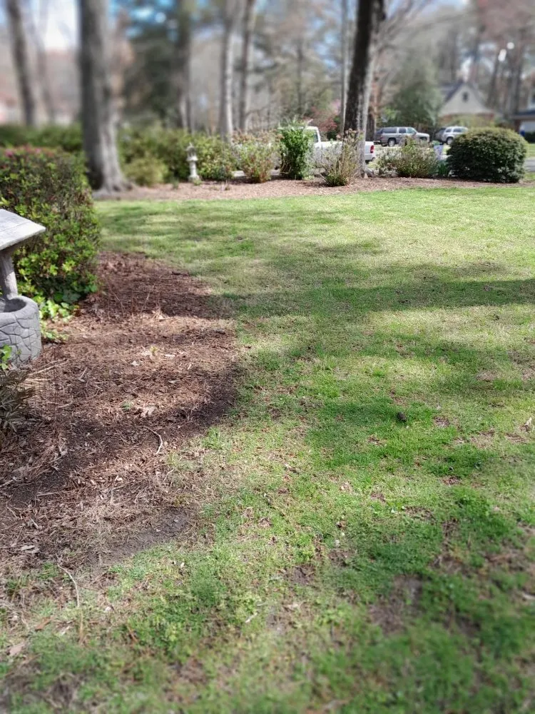 Custom lawn mowing service in Newport News, VA by Steve's Affordable Lawn and landscapes
