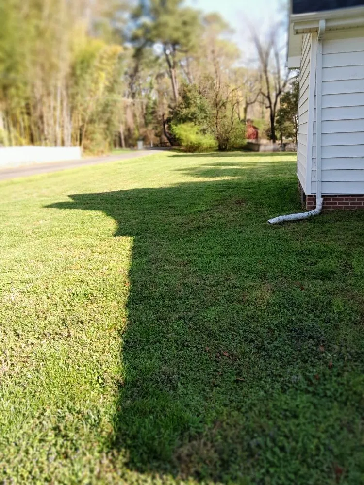 Trusted outdoor landscaping with custom design in Newport News, VA by Steve's Affordable Lawn and landscapes