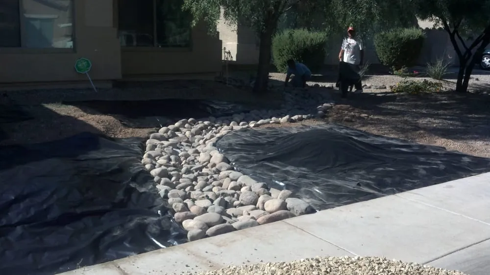 Local yard maintenance in Phoenix, AZ by Steve's Complete Lawn Service