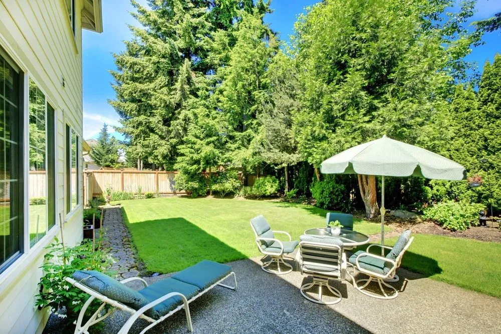 Professional yard cleanup service for beautiful yards in Bonsall, CA by Steve's Gardening Service