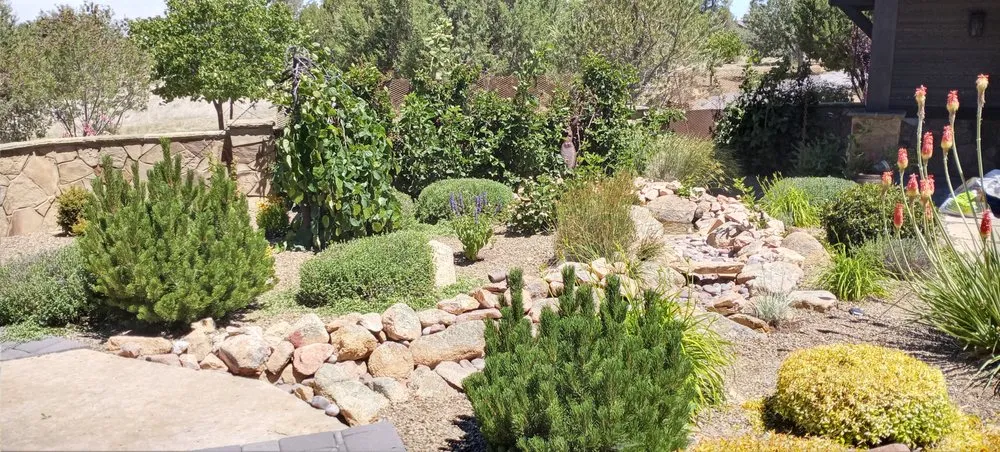 Expert yard maintenance in Kingman, AZ by Steve's Handy Outdoor Services