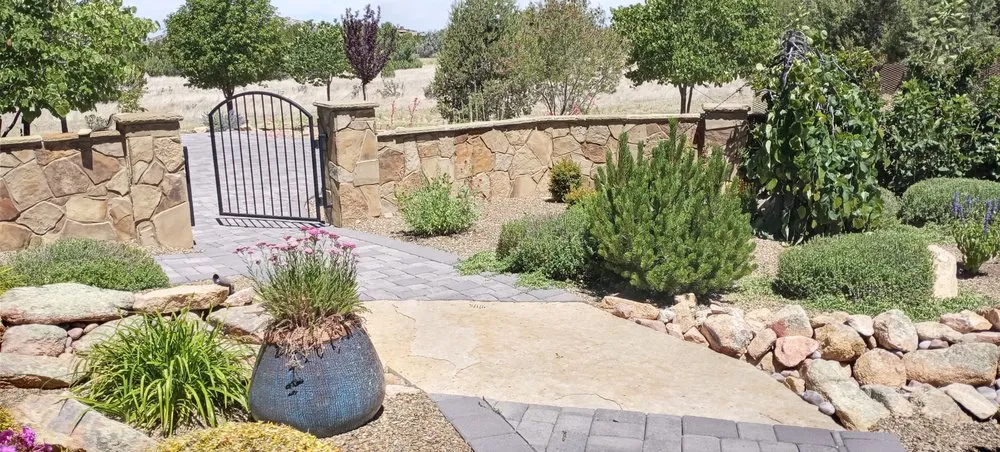 Affordable yard cleanup service near you in Kingman, AZ by Steve's Handy Outdoor Services