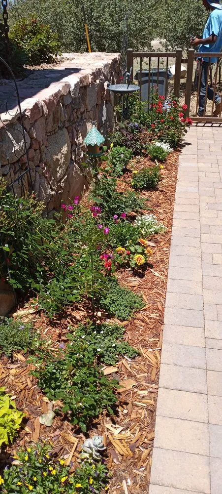 Local yard maintenance in Kingman, AZ - Steve's Handy Outdoor Services