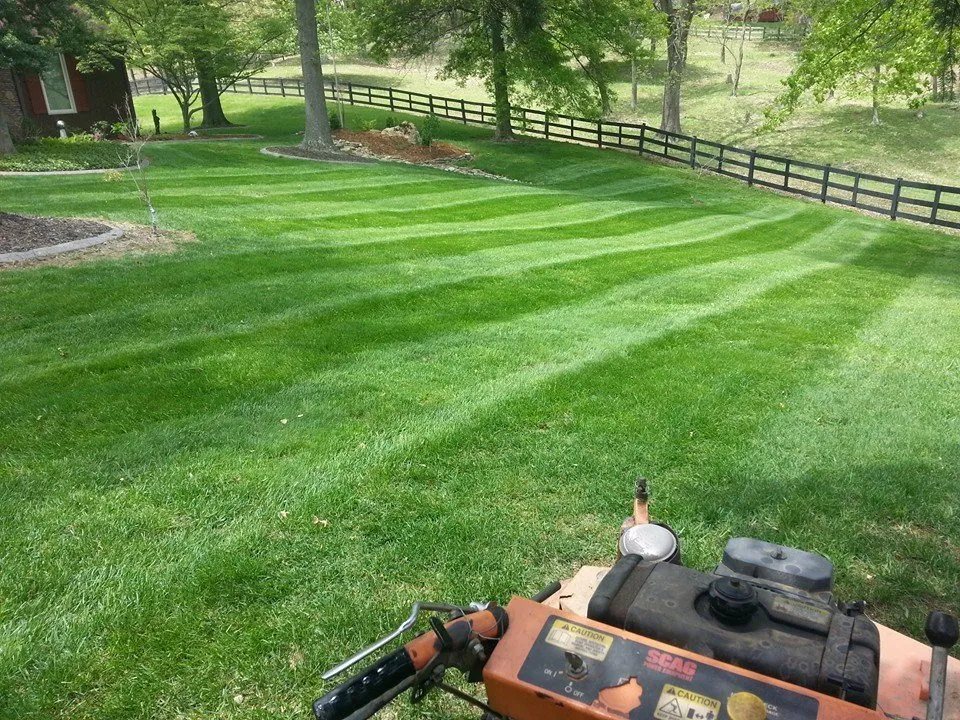 Affordable yard cleanup service in Iowa City, IA - Steve's House Garden & Lawn Care