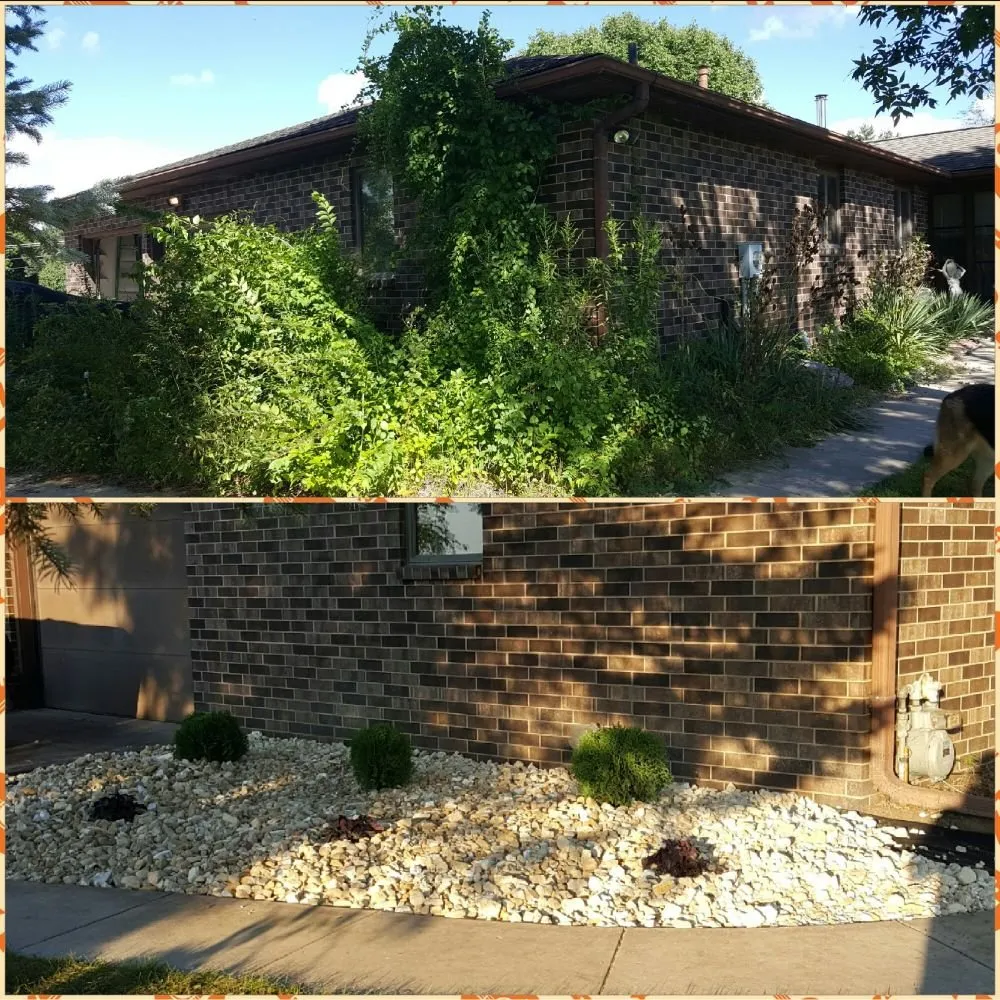 Affordable lawn mowing service experts serving Iowa City, IA - Steve's House Garden & Lawn Care