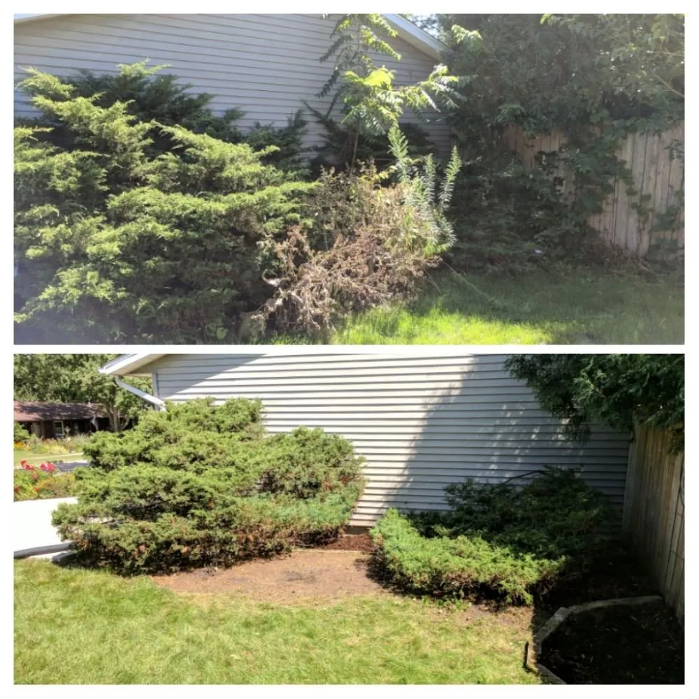 Reliable landscape design for residential properties across Iowa City, IA - Steve's House Garden & Lawn Care