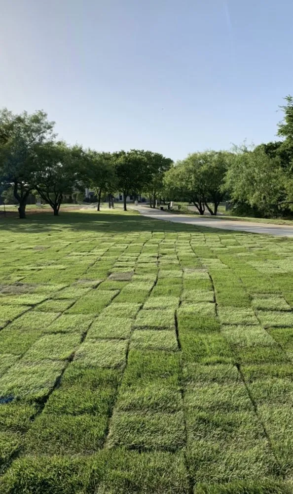 Expert lawn mowing service for residential properties across Salisbury, NC - Steves Landscape