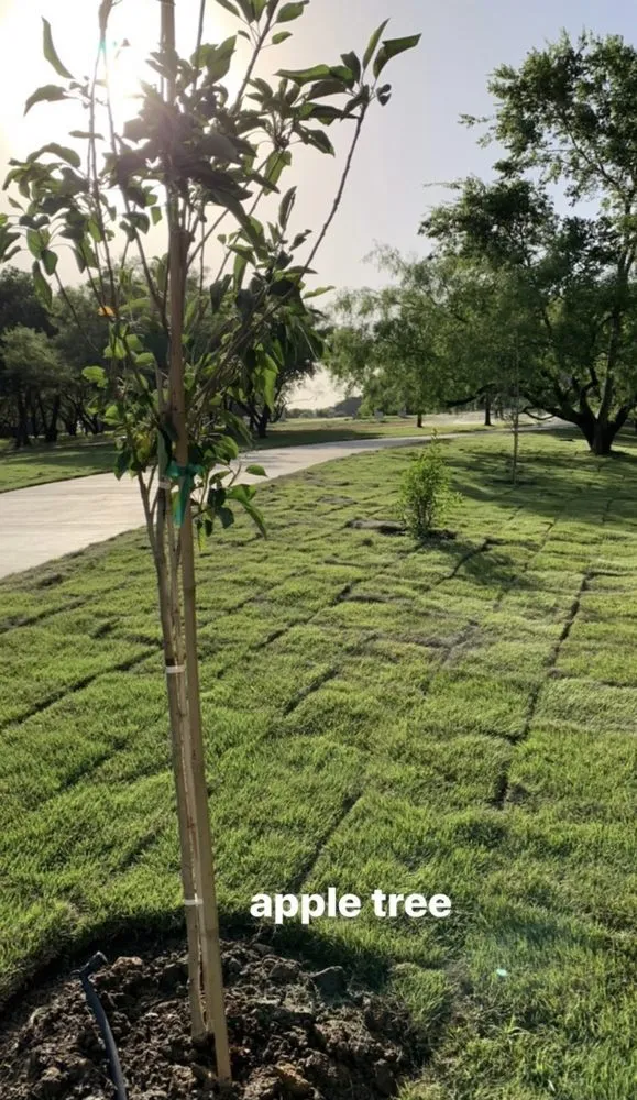 Local outdoor landscaping for year-round maintenance in Salisbury, NC by Steves Landscape