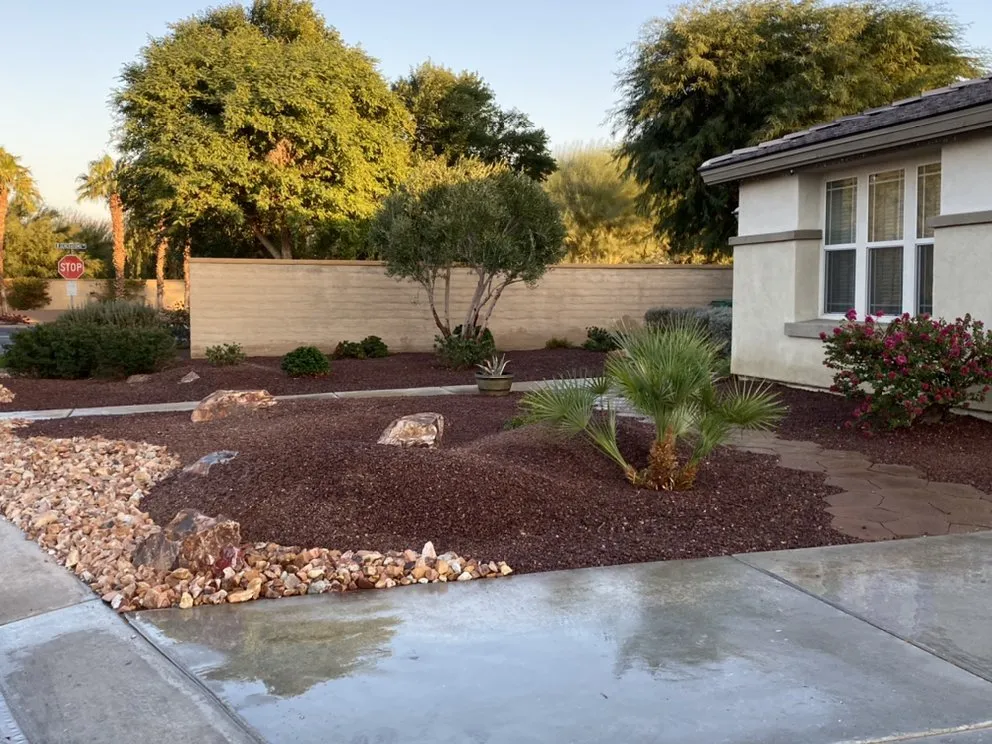 Top-rated yard cleanup service near you across Thermal, CA - Steve's landscape service