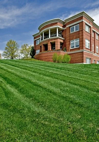 Reliable yard cleanup service in Staten Island, NY - Steve's Landscaping