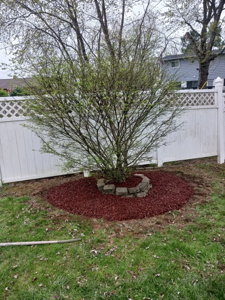 Affordable landscape installation in Woodlawn, MD - Steve's Landscaping