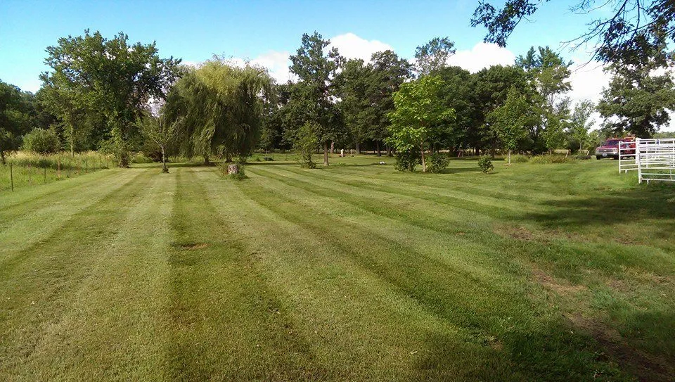 Top-rated landscaping services near you in Anoka, MN by Steve's Lawn and Landscape