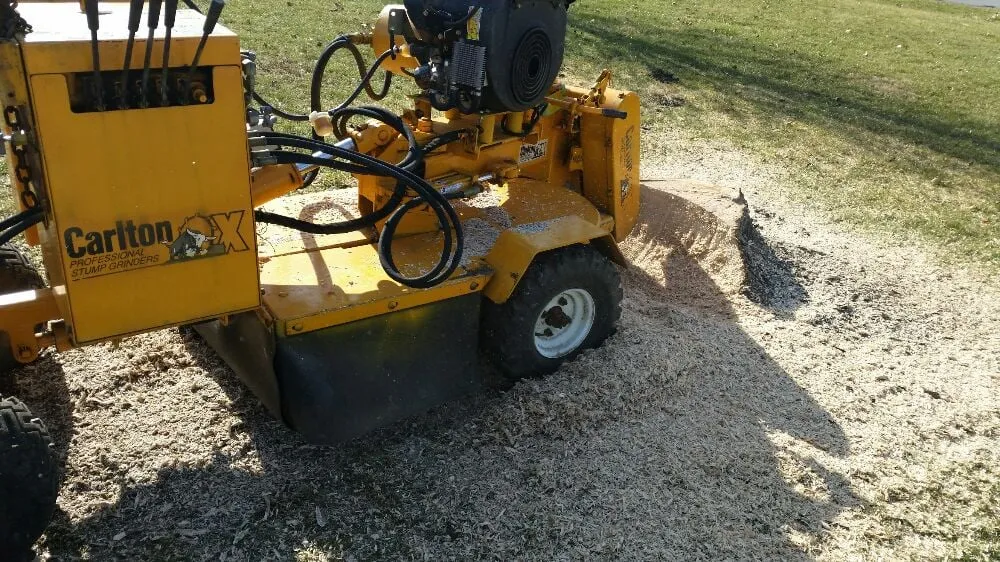 Local lawn care service in Taylorsville, KY by Steves Lawn and Tree Service