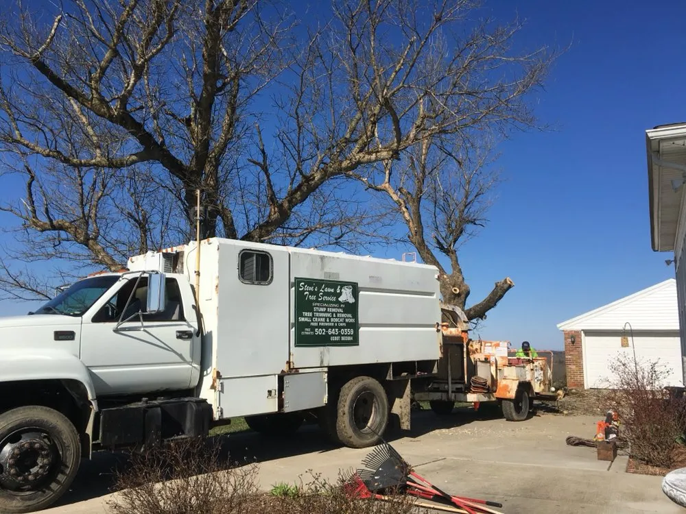 Custom yard cleanup service in Taylorsville, KY - Steves Lawn and Tree Service
