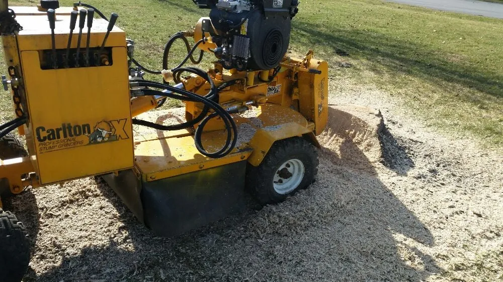 Custom lawn care service for year-round maintenance across Taylorsville, KY - Steves Lawn and Tree Service