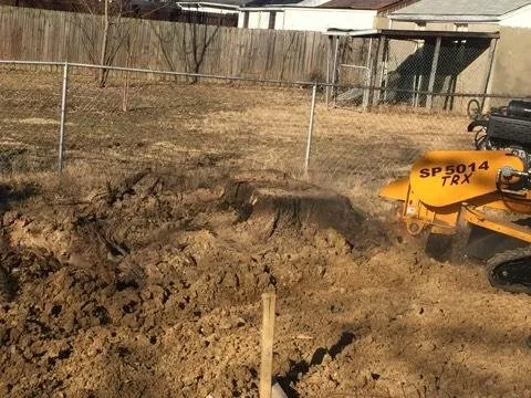 Expert lawn mowing service near you in Taylorsville, KY by Steves Lawn and Tree Service