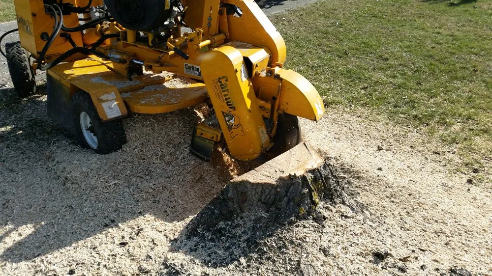 Custom landscape installation experts serving Taylorsville, KY - Steves Lawn and Tree Service