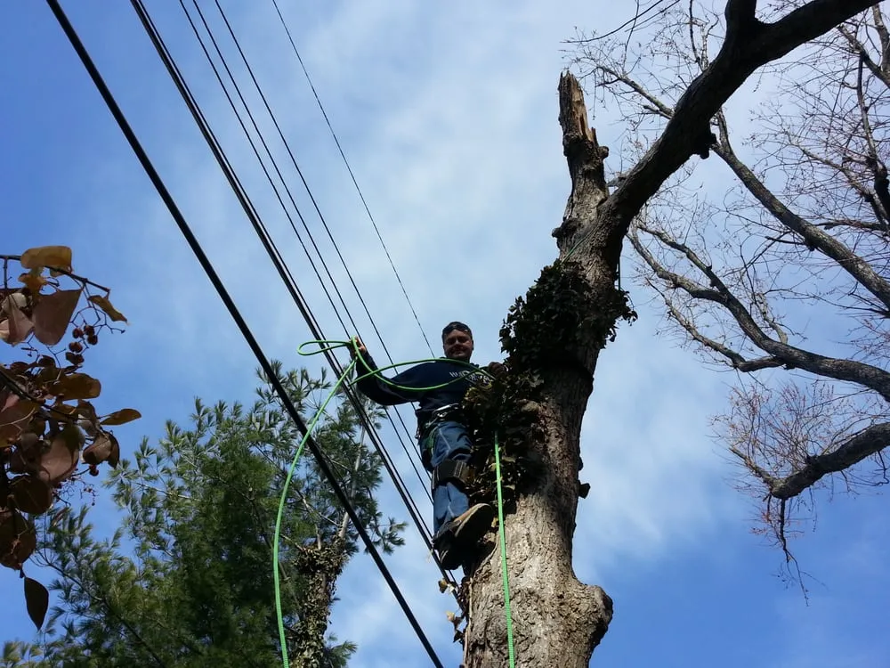 Custom lawn mowing service for residential properties across Taylorsville, KY - Steves Lawn and Tree Service