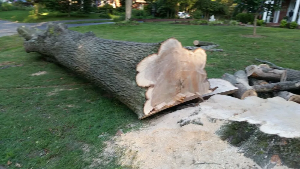 Reliable residential landscaping in Taylorsville, KY by Steves Lawn and Tree Service