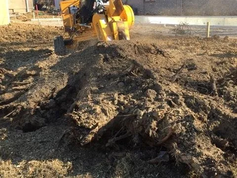 Custom outdoor landscaping for residential properties in Taylorsville, KY by Steves Lawn and Tree Service