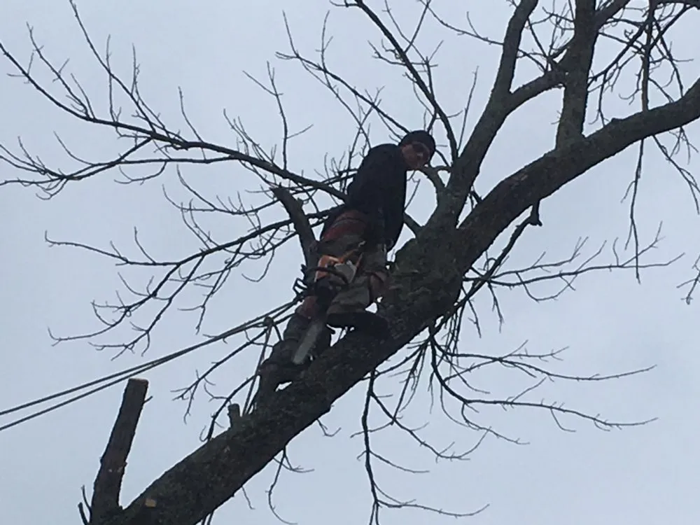 Reliable landscape design in Taylorsville, KY by Steves Lawn and Tree Service