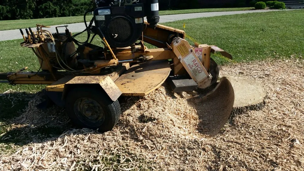 Top-rated yard maintenance for year-round maintenance across Taylorsville, KY - Steves Lawn and Tree Service