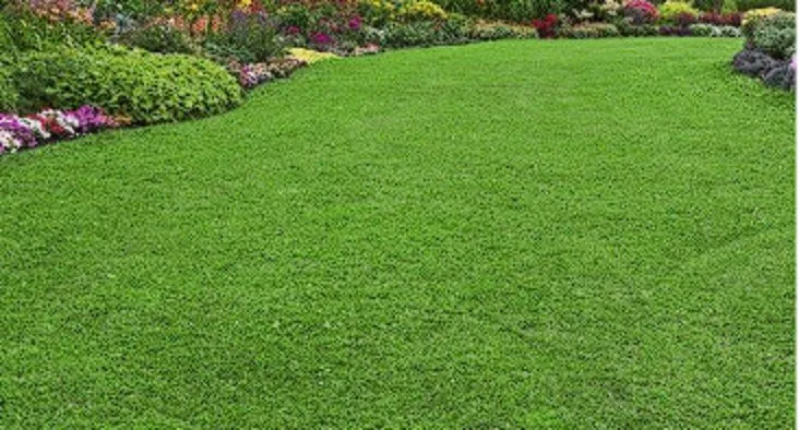 Expert outdoor landscaping experts serving Bridgewater, MA - Steve's Lawn Care