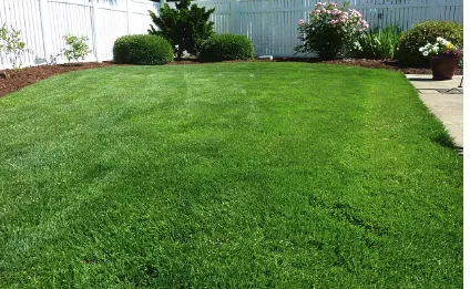Reliable yard cleanup service for year-round maintenance in Stephentown, NY by Steves Lawn Care