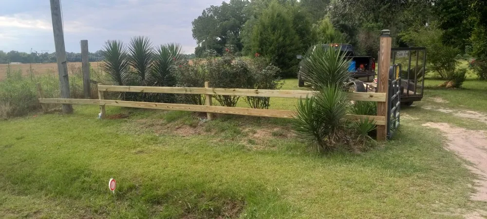 Top-rated yard maintenance in Climax, GA by Steve's Lawn Service