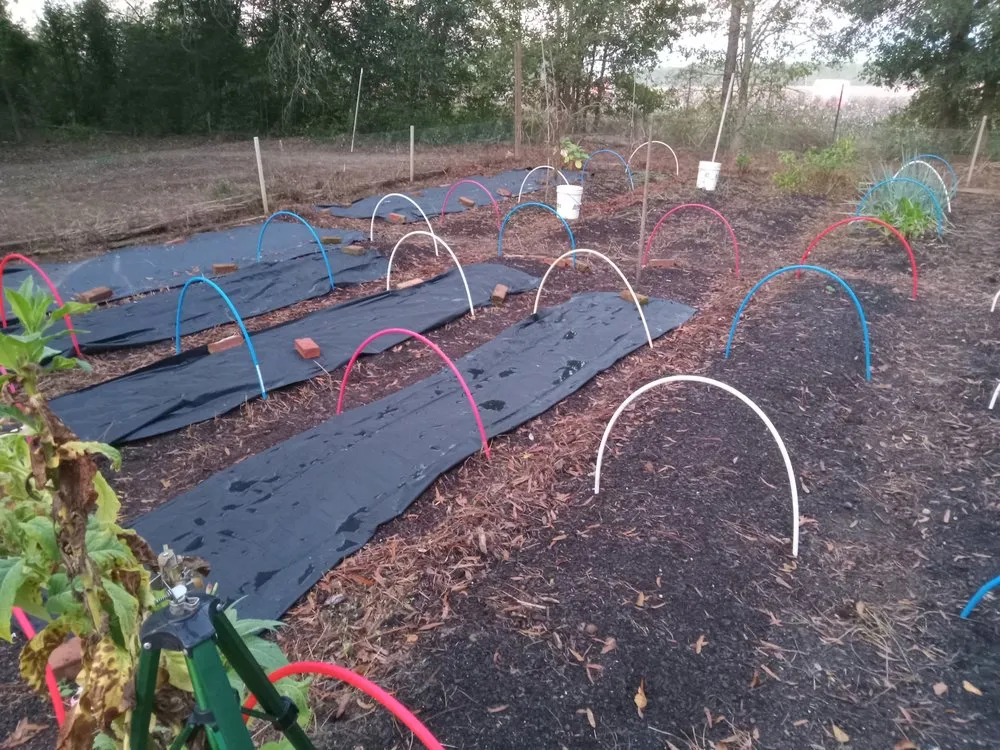Trusted landscape installation experts serving Climax, GA - Steve's Lawn Service