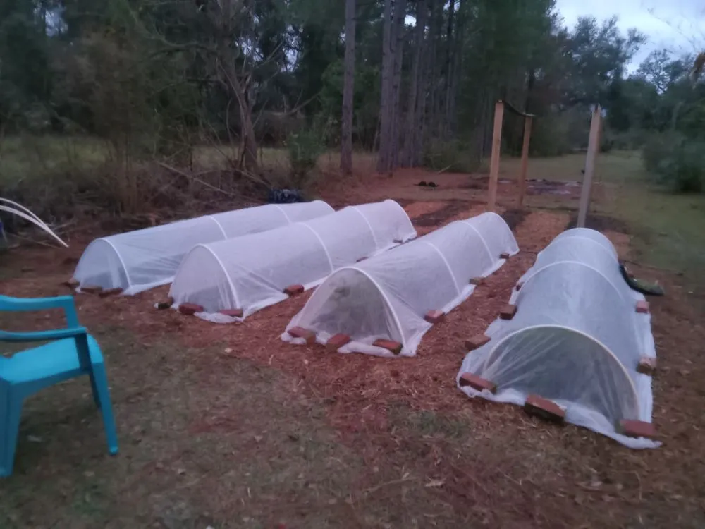 Professional garden landscaping experts serving Climax, GA - Steve's Lawn Service