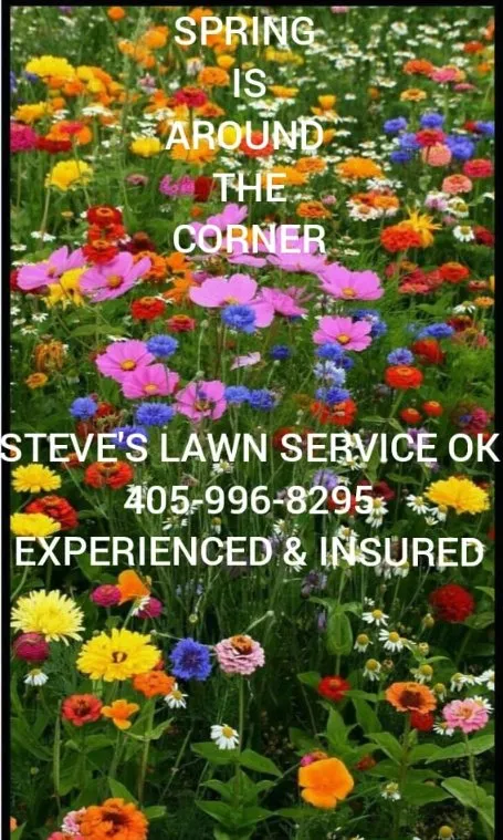 Professional yard cleanup service experts serving Wayne, OK - Steve's Lawn Service