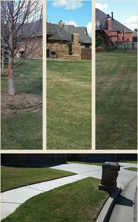 Professional lawn care service in Wayne, OK by Steve's Lawn Service