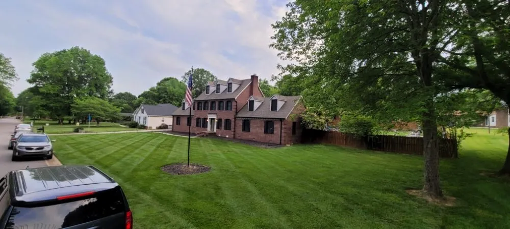 Expert yard cleanup service in Salisbury, NC - Steve's Lawn Services