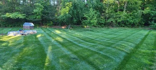 Steve's Lawn Services