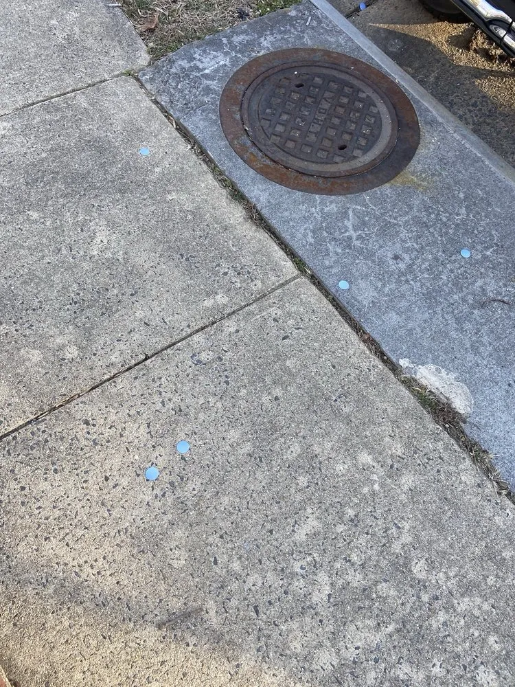 Custom yard maintenance in Springfield, VA - Steve's Mowing