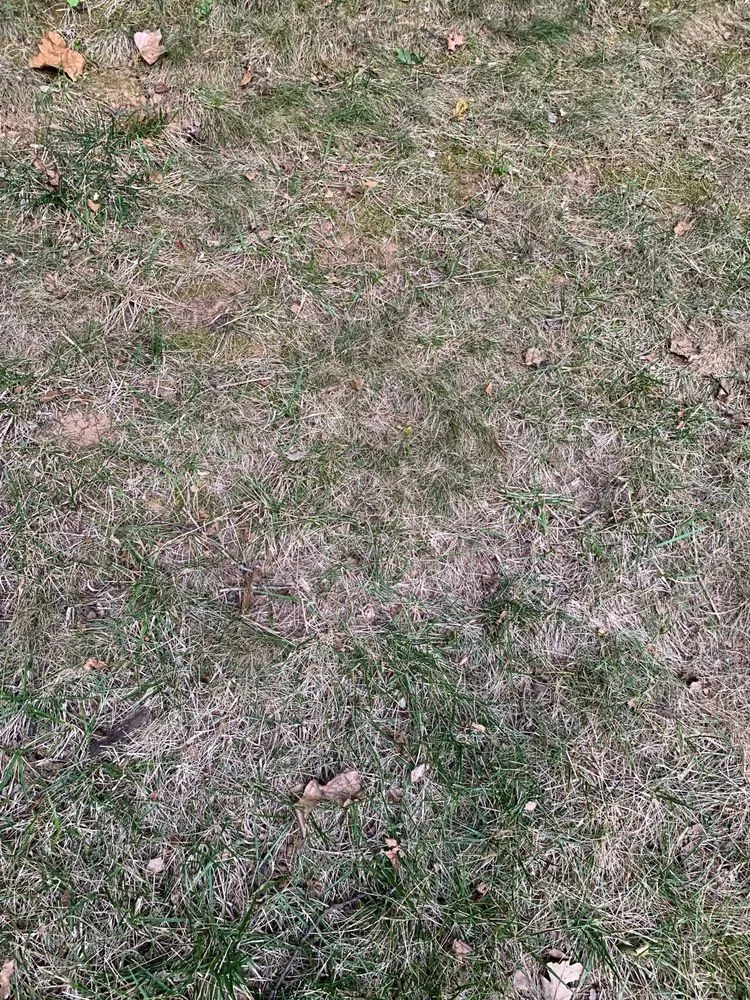 Expert garden landscaping near you across Springfield, VA - Steve's Mowing