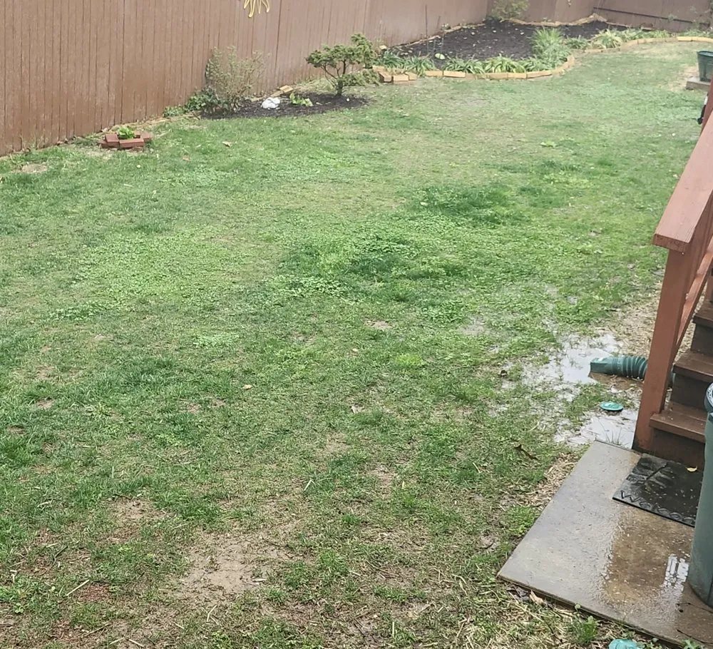 Local landscaping services in Springfield, VA - Steve's Mowing