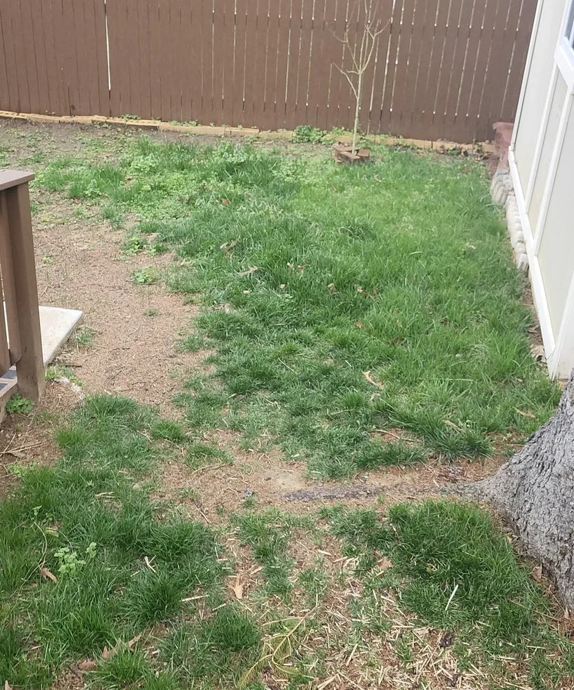 Trusted residential landscaping near you in Springfield, VA by Steve's Mowing