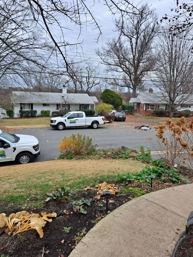 Professional garden landscaping in Springfield, VA by Steve's Mowing