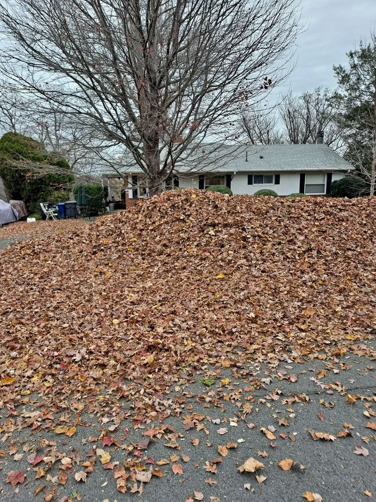 Local outdoor landscaping for beautiful yards across Springfield, VA - Steve's Mowing