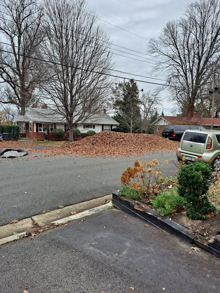 Top-rated garden landscaping for outdoor upgrades in Springfield, VA by Steve's Mowing