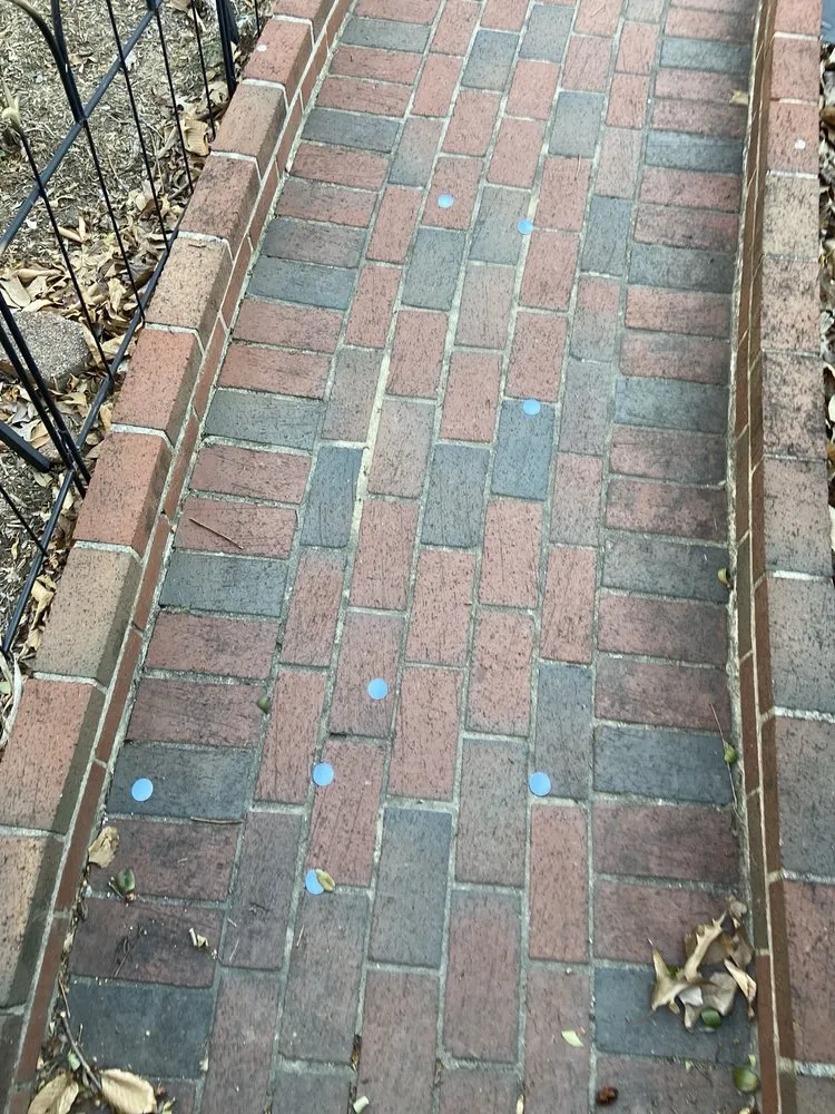 Expert landscape installation in Springfield, VA - Steve's Mowing