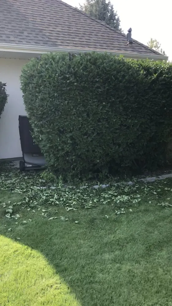Affordable lawn mowing service experts serving MT, MT - Steve's Precision Lawn Care