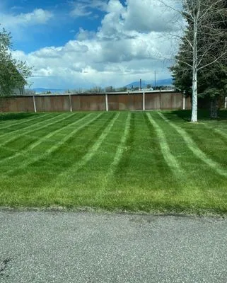 Steve's Precision Lawn Care