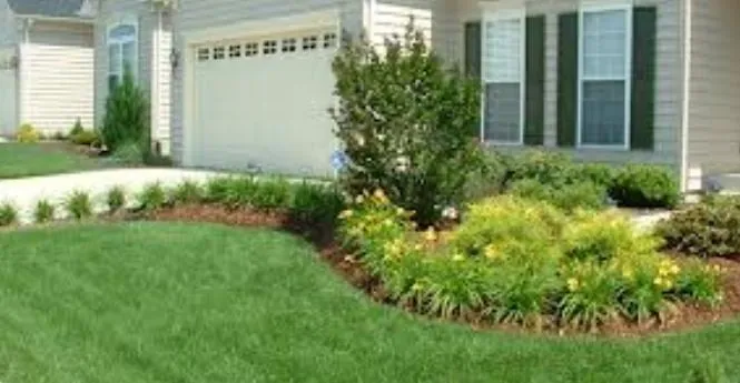 Expert landscaping services experts serving Colonial Beach, VA - Steve's Quality Lawn Care & Landscaping